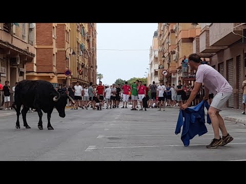 Videoclip PTD de Dalt, Massamagrell 2024. Tarde de la Ganadería Germán Vidal.