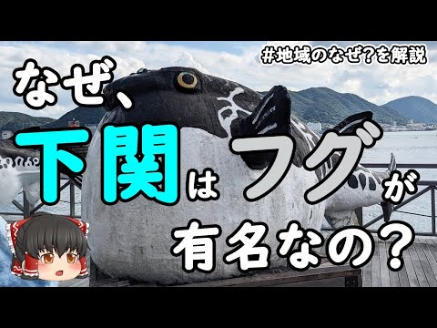 水族館のフグ (タキフグ ルブリプス)