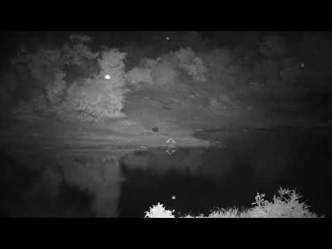 Djuma: Sights and sounds - 01:59 - 11/16/2022