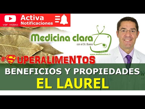 ¿Por Qué Decimos Dormirse En Los Laureles?