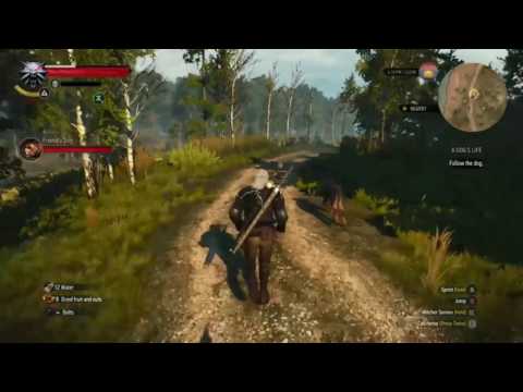 The Witcher 3:Wild Hunt -It's a dog's life