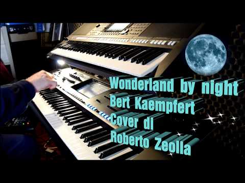 Wonderland Bi Night (Lutz Templin) - Melodias Para Sonar