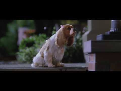 Underdog (2007) Official Trailer