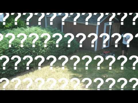 How Not To Mow Your Lawn