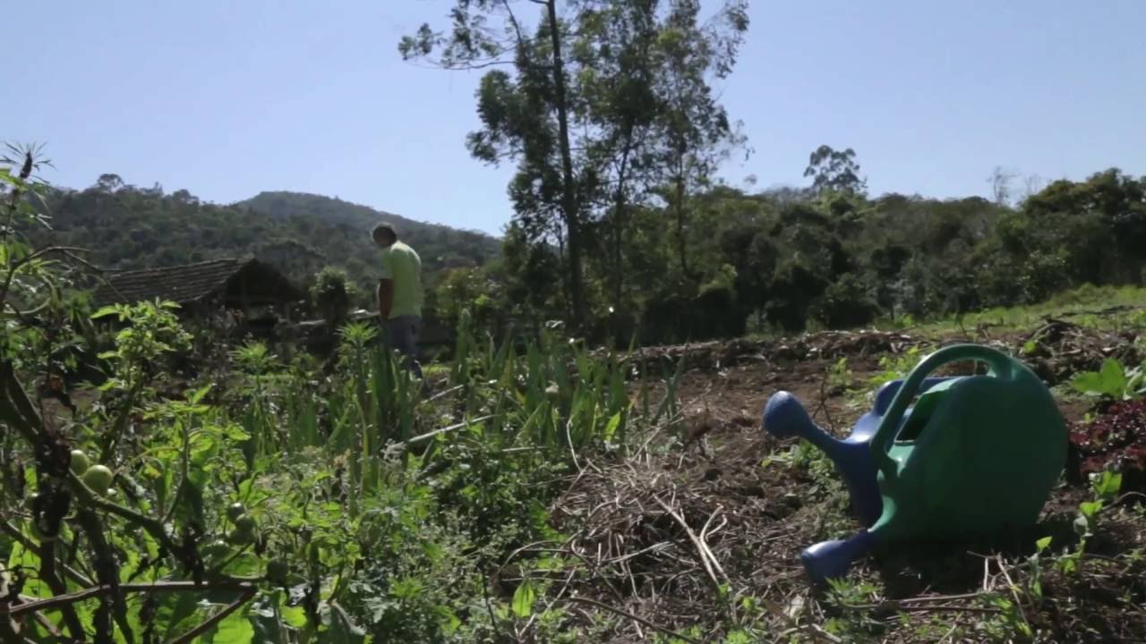 Agroecologia - Práticas que mudam a vida (versão completa)