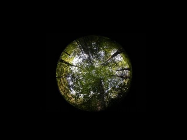 La Faculté des sciences de l&rsquo;UQAM vous souhaite un bon Jour de la Terre