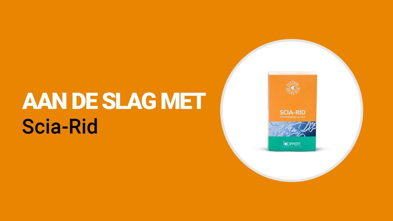 Video preview poster