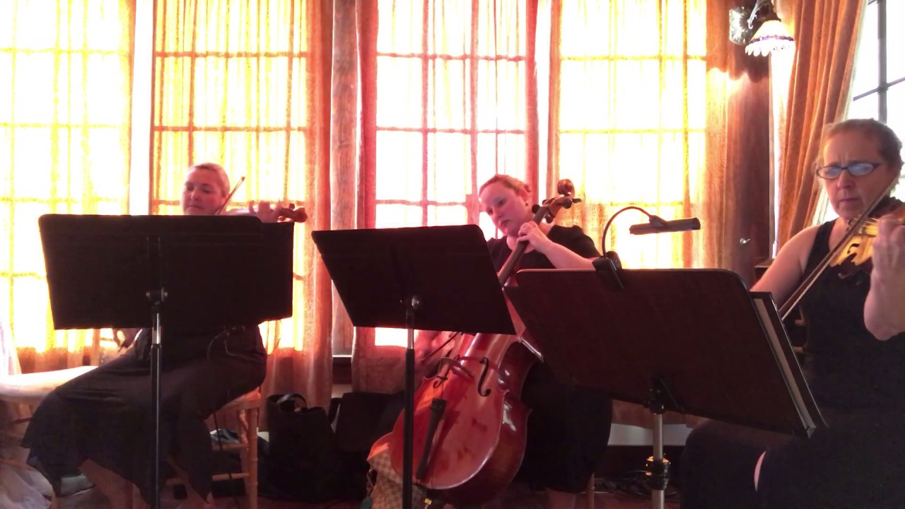 Promotional video thumbnail 2 for Ceremonious Strings LLC 