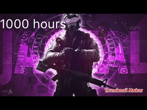 What 1000 hours of Jackal looks like