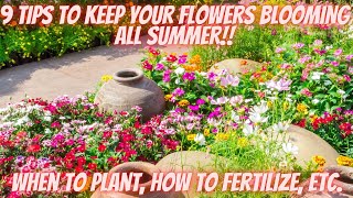 Grow Flowers So Big Your Neighbors Will Ask Questions