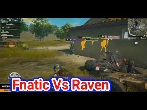 Fnatic Vs Raven |  PMCO Highlight