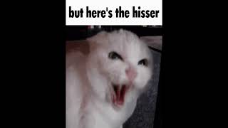 Cover art for But heres the...