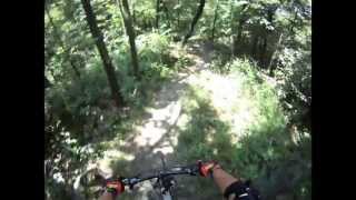 preview picture of video 'MTB Superga Freeride Sentiero 29 Go Pro HD'