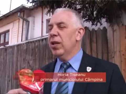 Lupta cu timpul