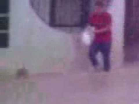 El Pendejo de la 3.3gp