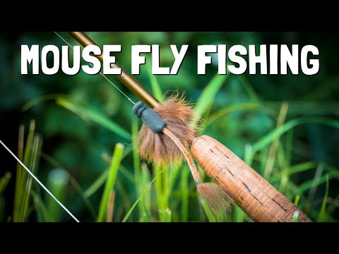 Hunting Big Trout with Mouse Flies | Spring Creek Mouse Fly Fishing