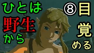 ゼルダの伝説 ブレス オブ ザ ワイルドなのでワイルド（上裸）に実況プレイ⑧