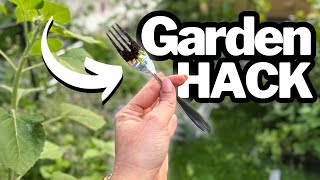 Your Soil is Choking Your Plants—Here’s How to Save Them ❌