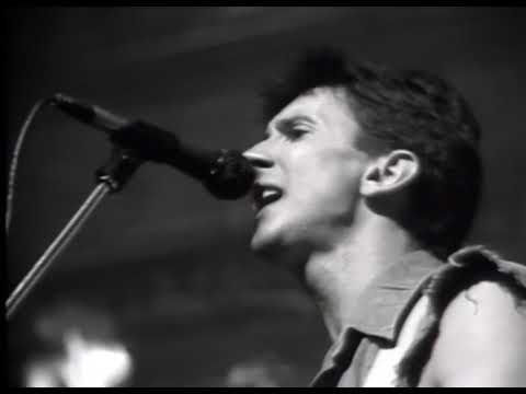 Sallie-Anne video
