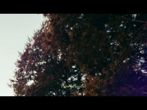 sød ven - state of mind (lyric video)