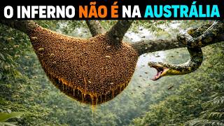 🚨 Por isso a Amazônia FAZ a Austrália PARECER UMA PIADA