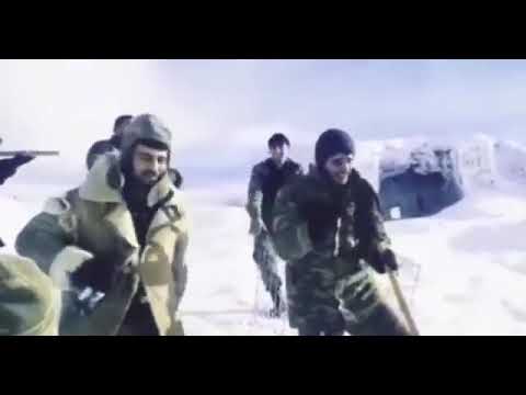 Coolio - I Like Girls & Israil Memmedov (İti qovanlar)