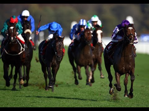 St Nicholas Abbey - Racing Post Trophy (2009)