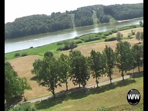 Erich Krieger -  Külm kui jää