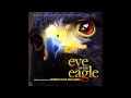 Eye of the Eagle - Søren Hyldgaard 