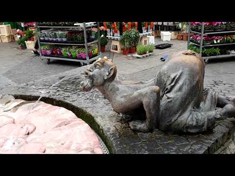 WÜRZBURG in drei Stunden - leider zu kurzer Besuch...