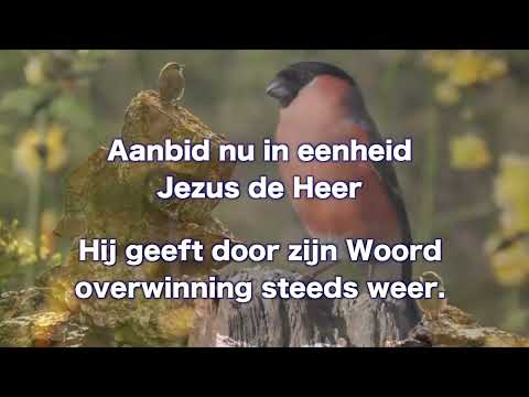 OPwekking 611 Niet door kracht