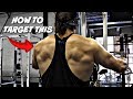 This Back Muscle Everyone Trains WRONG