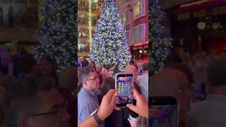 Freedom of the Seas #Caribbean #trending #viralshorts #christmastree