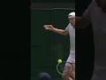 Through the gap ? #shorts