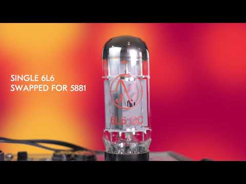 Fender Champ 12 versus Harden Skull Distortion!