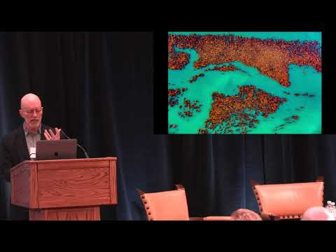 download lagu mp3 mp4 Delson, download mp3 Delson free downloadn, video klip Delson