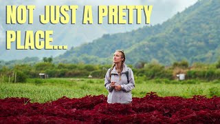 We Found the Most BEAUTIFUL Mountain Town in Lombok, Indonesia