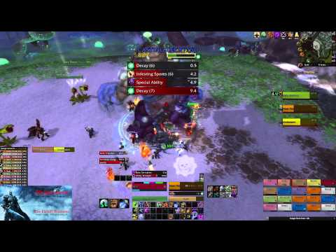 The Family Business vs Brackenspore 20M