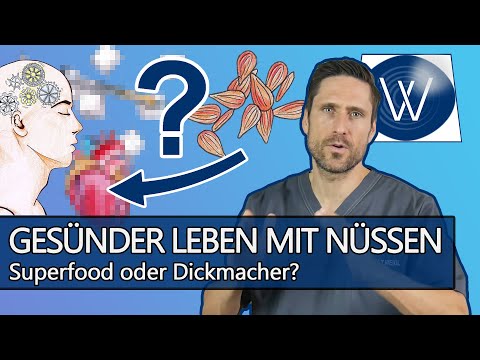 Wie gesund sind Nüsse: Hype oder Hope? So können Sie Ihren Bedarf an Omega 3 & Ballaststoffen decken