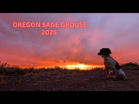 Oregon Sage Grouse 2025