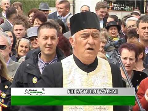 FIII SATULUI VALENI P1