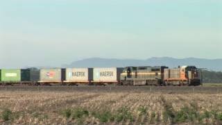 preview picture of video 'El Zorro container train at Murtoa.  Sat 29/01/11'