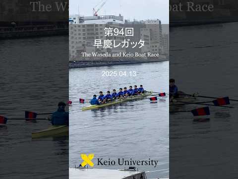 第94回早慶レガッタ #shorts #早慶戦