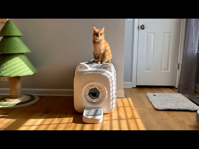 Slideshow 1 ( YouTube Video )