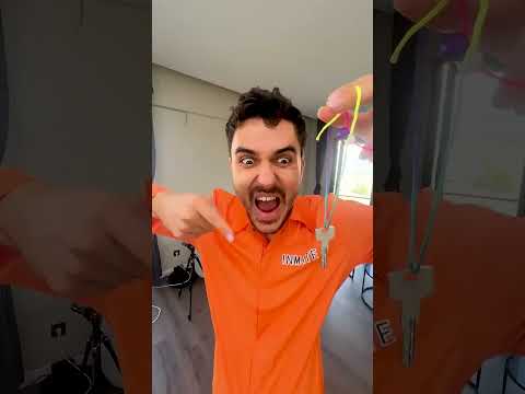 CRAZY CAT 😂 #shorts