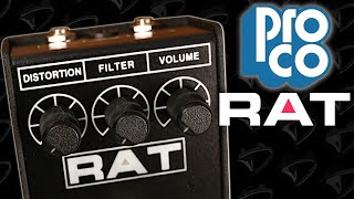Video thumbnail for ProCo RAT 2 Distortion Pedal Demo by D Man Guitar