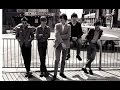 The Undertones - Male Model