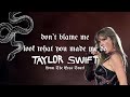 Taylor Swift - Don't Blame Me / Look What You Made Me Do  (From The Eras Tour) (Lyrics)
