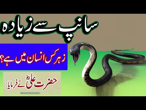 Sanp (Snake) Say Zada Zehar Kis Main Hai