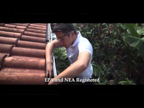 BestChem Mozzie Wipe-Out using Bti mosquito larvicides - TV Commercial (English)